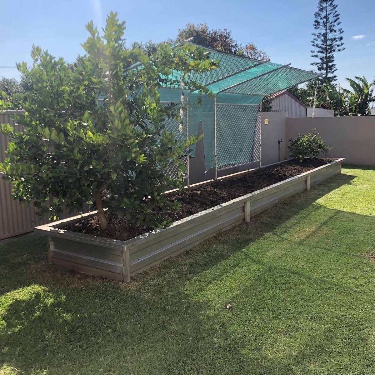 A raised steel garden bed planted beside a lawn and a green netted enclosure