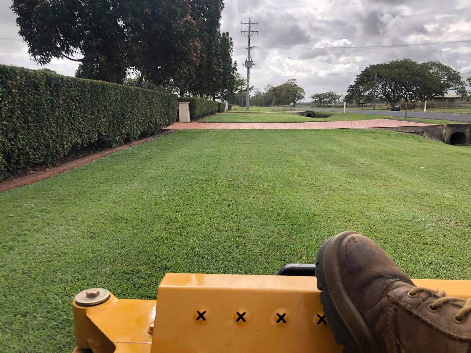 A ride-on mower cutting a long open lawn beside a tall hedge