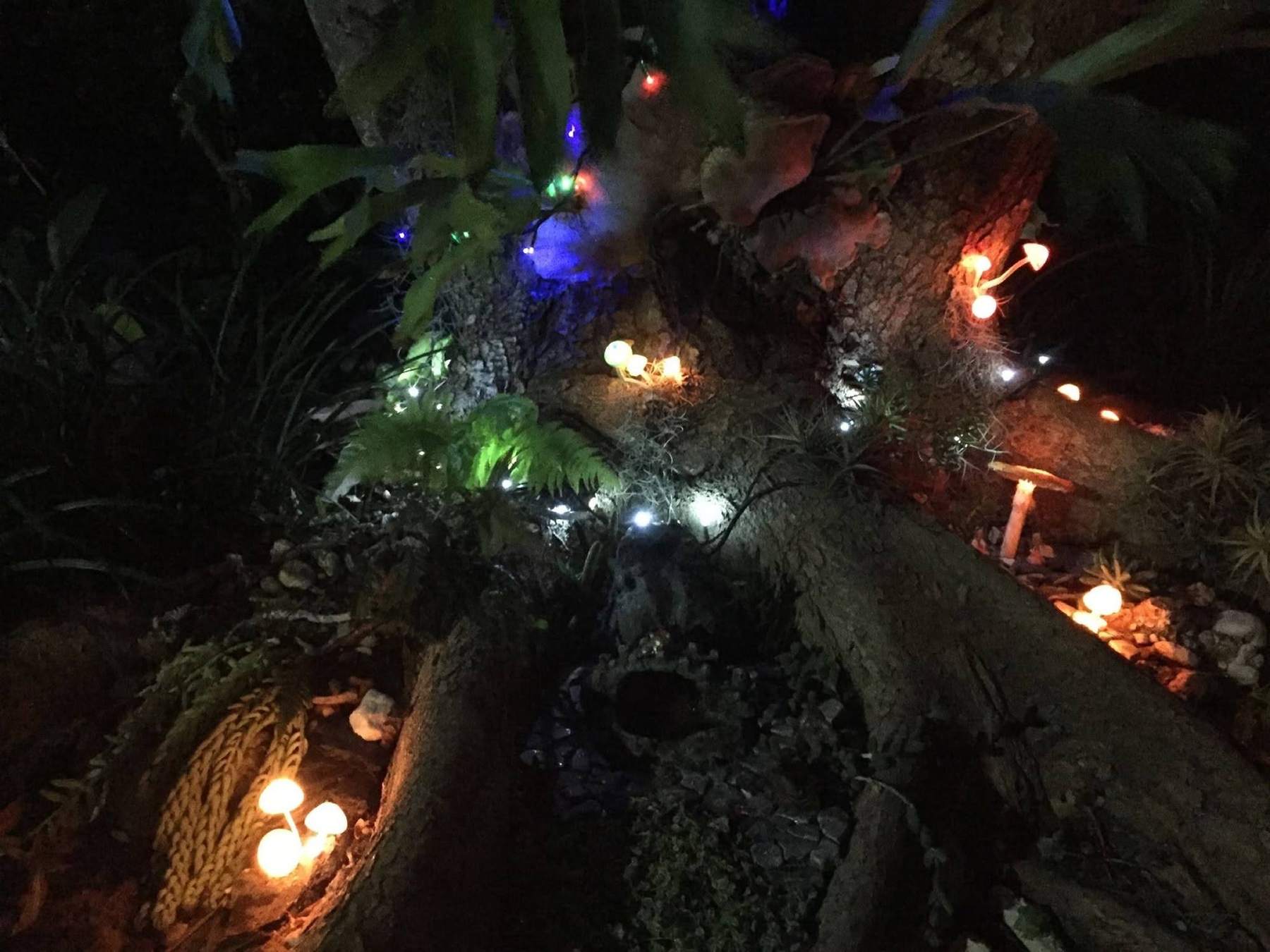 A garden bed at night with small mushroom lamps and fairy lights among ferns and tree roots
