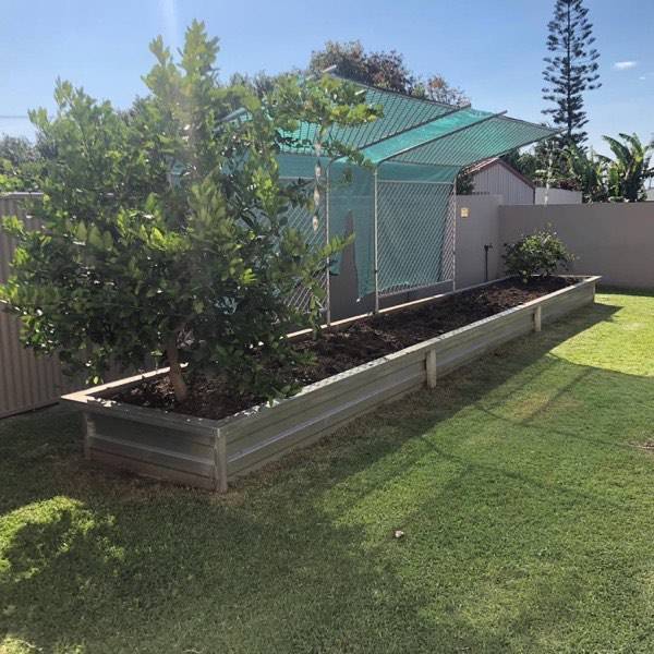 A raised steel garden bed planted with a citrus tree beside a lawn