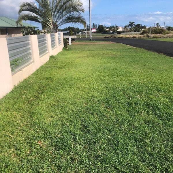 A mown verge lawn beside a bitumen road and a fence