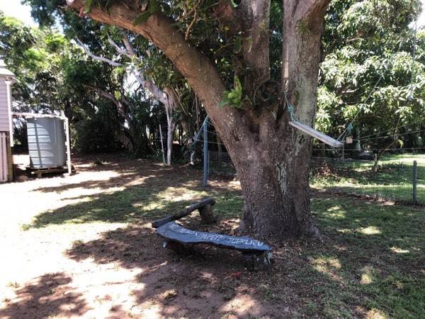 A wide shaded tree over mown grass on an open block