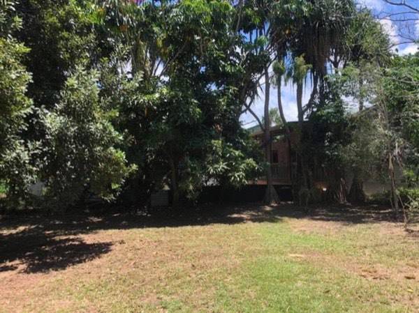 Open lawn and mature trees on a large block with a shed beyond