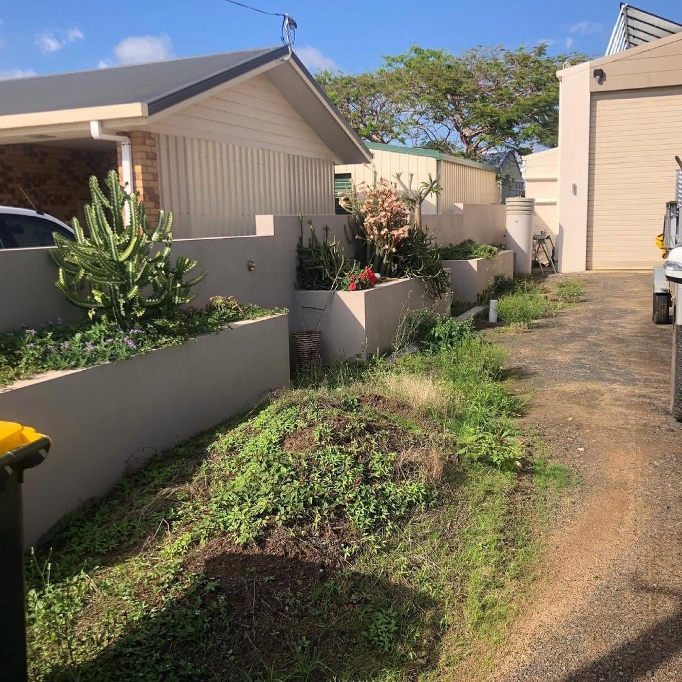 A rendered garden wall with planting along a driveway