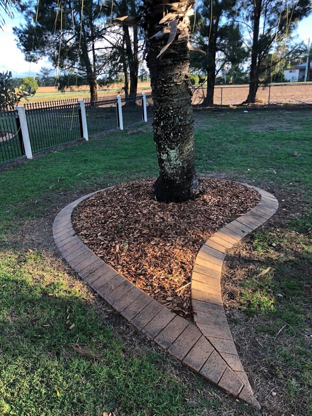 A mulched garden ring around a palm with a brick edge